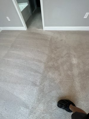 Carpet cleaning and odor removal from pet - This project was for a client that is moving out and wanted carpets cleaned to get their deposit back. Carpet cleaning and odor removal from pet - This project was for a client that is moving out and wanted carpets cleaned to get their deposit back.