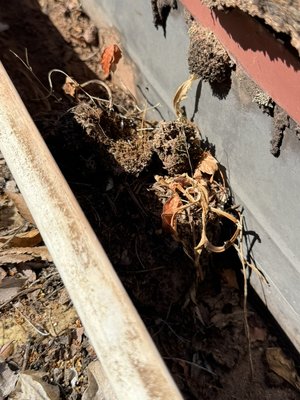 Gutter Cleaning - We clean all kinds of gutters up to two stories, we make sure all gutters are cleaned out and all downspouts are clear Gutter Cleaning - We clean all kinds of gutters up to two stories, we make sure all gutters are cleaned out and all downspouts are clear