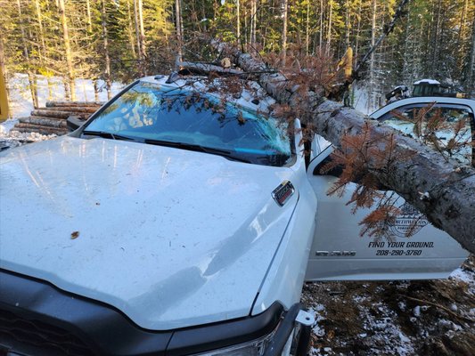 Commercial Trucks in Our Wheelhouse - Here is a recent job for a Tree Removal company who got on the wrong side of the tree. While parked, a random tree fell and crushed the cab on this newer 2021 Dodge Ram 2500 Tradesman Regular Cab 4WD. Not completely surprising given how harsh the winter was in 2022-2023 with a huge build up of icicles on tree branches. But crushing nonetheless. When the owner came in, he asked us to remove the back completely, so he could replace with a heavy duty tarp cover. Happy to oblige.

An unknown fact about Anderson's Autobody? We should be called "Truck Body Shop" as we perform as many commercial vans, delivery and construction truck collision repairs as we do commuter vehicles. If your Big Rig needs some love, give us a call. We don't just paint and repair them, we can order all new parts in case you want something different. A truck transformation if you will. Spray-in bedliners are also popular as well as Clear Bra to protect the paint and finish long term. We do it all.

Here's the Ram Tradesman's repair journey. 

As for the business owner? He gave a 5-Star Google Review. Ask for for case studies, photos or customer references if you are trying to decide where to get your commercial van or truck repaired.