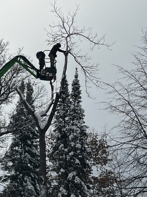 Tree Removal - OAK SEASON IS HERE, REMOVAL & TRIMMING.
$$$$$$$$$$$$$$$SAVE$$$$$$$$$$$$$$$
CHOP & DROP HOMEOWNER CLEANS UP
Free Estimates
24 hr Emergency Services
Specializing In High Risk Tree Removal & Care.
FULLY INSURED AND BONDED
Don't have enough money to remove that dangerous tree or trees? Let me help!
I CAN COME PUT YOUR TREE ON THE GROUND, AND CUT IT UP FOR YOU TO CLEAN UP YOURSELF, THIS CAN COST ANYWHERE FRROM $500.00 TO A $2,000.00. IT ALL DEPENDS ON HOW DANGEROUS THE TREE OR TREES ARE.
SO LET ME TAKE CARE OF THE PROBLEM,AND YOU CAN TAKE CARE OF THE CLEAN UP.
FULL TREE SERVICES AVAILABLE AS WELL...
10% discount to all veterans, active duty members, law enforcement & retired law enforcement.
Total Tree Removal
Tree Trimming
Bush & Shrub Trimming & Removal
Yard Cleanups
Stump Grinding
Lot And Land Clearing
Feel free to message me for a free estimate.
Prices varies from tree to tree.
763-482-6247
Scott Simpson
Thank you, have a blessed day.
Simpsonandsonstreeservice.com Tree Removal - OAK SEASON IS HERE, REMOVAL & TRIMMING.
$$$$$$$$$$$$$$$SAVE$$$$$$$$$$$$$$$
CHOP & DROP HOMEOWNER CLEANS UP
Free Estimates
24 hr Emergency Services
Specializing In High Risk Tree Removal & Care.
FULLY INSURED AND BONDED
Don't have enough money to remove that dangerous tree or trees? Let me help!
I CAN COME PUT YOUR TREE ON THE GROUND, AND CUT IT UP FOR YOU TO CLEAN UP YOURSELF, THIS CAN COST ANYWHERE FRROM $500.00 TO A $2,000.00. IT ALL DEPENDS ON HOW DANGEROUS THE TREE OR TREES ARE.
SO LET ME TAKE CARE OF THE PROBLEM,AND YOU CAN TAKE CARE OF THE CLEAN UP.
FULL TREE SERVICES AVAILABLE AS WELL...
10% discount to all veterans, active duty members, law enforcement & retired law enforcement.
Total Tree Removal
Tree Trimming
Bush & Shrub Trimming & Removal
Yard Cleanups
Stump Grinding
Lot And Land Clearing
Feel free to message me for a free estimate.
Prices varies from tree to tree.
763-482-6247
Scott Simpson
Thank you, have a blessed day.
Simpsonandsonstreeservice.com