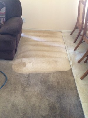 Carpet Cleaning - Elite Carpet Care Inc. Serving The Elite People. Carpet Cleaning - Elite Carpet Care Inc. Serving The Elite People.