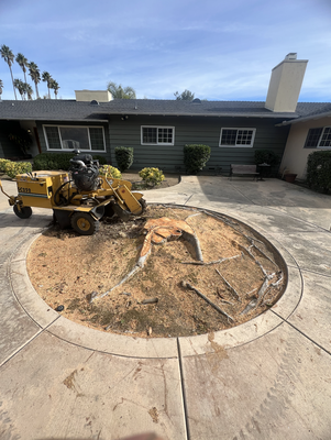 Stump removal - Complete stump removal Stump removal - Complete stump removal