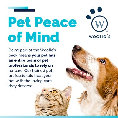 Woofies - Call for your pet sitting Dog Walking and Mobile Pet Spa needs today! Woofies - Call for your pet sitting Dog Walking and Mobile Pet Spa needs today!