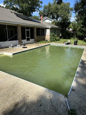 Pool Cleaning 1 - Algae can be relentless. Once it starts it can get bad very quickly and it can be extremely hard and costly to get rid of. Pool Cleaning 1 - Algae can be relentless. Once it starts it can get bad very quickly and it can be extremely hard and costly to get rid of.