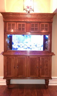 Custom Reef Tank - This custom reef tank was done in a hallway leading to the kitchen. Tank is double sided with 2 opening on the reverse side. Cabinetry was all custom made to the client's specifications.