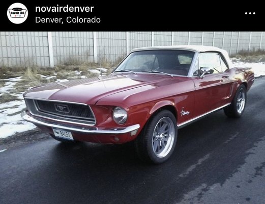 66 Mustang Convertible! Complete restoration😀 - These are various jobs that were completed. So you can see our paint work. And body work. From different jobs over the year or Instagram has tons of jobs before and after photos. Go and check it out. @novairdenver 66 Mustang Convertible! Complete restoration😀 - These are various jobs that were completed. So you can see our paint work. And body work. From different jobs over the year or Instagram has tons of jobs before and after photos. Go and check it out. @novairdenver