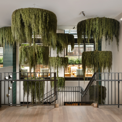 Arlo Hotels - WE WERE INVITED TO WORK ALONGSIDE MEYER DAVIS INTERIOR DESIGN TEAM AND MARVEL ARCHITECTS AT THE ARLO MANHATTAN PROPERTIES WHERE WE DESIGNED AND BUILT A NUMBER OF BIOPHILIC ELEMENTS INCLUDING SPANISH MOSS CHANDELIERS AND HANGING INSTALLATIONS, TABLETOP AND FLOOR PLANTS. Arlo Hotels - WE WERE INVITED TO WORK ALONGSIDE MEYER DAVIS INTERIOR DESIGN TEAM AND MARVEL ARCHITECTS AT THE ARLO MANHATTAN PROPERTIES WHERE WE DESIGNED AND BUILT A NUMBER OF BIOPHILIC ELEMENTS INCLUDING SPANISH MOSS CHANDELIERS AND HANGING INSTALLATIONS, TABLETOP AND FLOOR PLANTS.