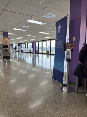 Mardi Gras Transformation - We transformed this college space into a world of Mardi Gras...