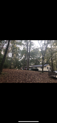 Tree Removal - This is a tree removal we did. A total of 20 trees were removed around the house. Tree Removal - This is a tree removal we did. A total of 20 trees were removed around the house.
