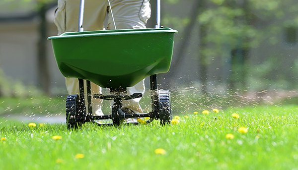 Fertilization - Sod installation transforms your property with a vibrant, green lawn. Professional site preparation and precise sod placement ensure immediate curb appeal, erosion control, and a healthy foundation for both residential and commercial landscapes. Fertilization - Sod installation transforms your property with a vibrant, green lawn. Professional site preparation and precise sod placement ensure immediate curb appeal, erosion control, and a healthy foundation for both residential and commercial landscapes.