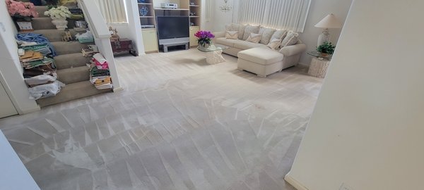 Carpet steam cleaning after water leak from toilet. - Carpet steam cleaning and Deodorizer after flood water came down from upstairs toilet. Carpet steam cleaning after water leak from toilet. - Carpet steam cleaning and Deodorizer after flood water came down from upstairs toilet.