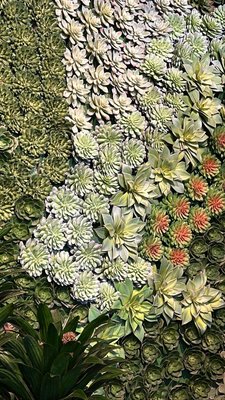 Synthetic - We specialize in installing vertical green wall gardens. Our retail front includes a variety of exotic houseplants, orchids, succulents, cacti, and planters.