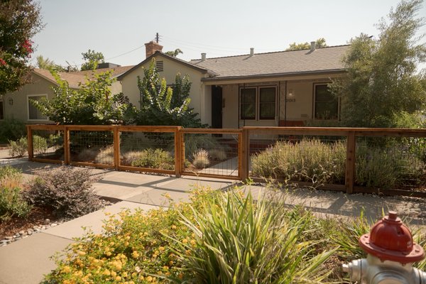 Project 4 - This project was completed in two phases, with the front yard installed roughly two years prior to the backyard—offering a clear look at how quickly the landscape matures and fills in. The front yard was designed with a strong emphasis on native and pollinator-friendly plantings, carefully balanced with long-term water conservation in mind.
The backyard focused heavily on usable patio space, accommodating three separate dwellings on a single property. Trellised, trailing greenery was introduced to soften the hardscape, bring life into the space, and create a sense of privacy between units without closing the area off.
Together, the front and back yards showcase a thoughtful blend of natural growth and modern structure—proving that sustainable landscapes can still feel clean, intentional, and inviting. Project 4 - This project was completed in two phases, with the front yard installed roughly two years prior to the backyard—offering a clear look at how quickly the landscape matures and fills in. The front yard was designed with a strong emphasis on native and pollinator-friendly plantings, carefully balanced with long-term water conservation in mind.
The backyard focused heavily on usable patio space, accommodating three separate dwellings on a single property. Trellised, trailing greenery was introduced to soften the hardscape, bring life into the space, and create a sense of privacy between units without closing the area off.
Together, the front and back yards showcase a thoughtful blend of natural growth and modern structure—proving that sustainable landscapes can still feel clean, intentional, and inviting.