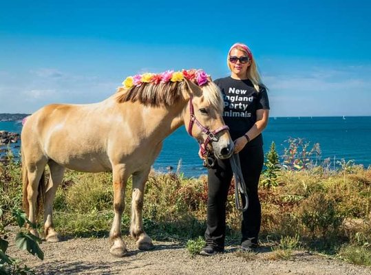 Pony and Unicorn Rides! - Luda is our main pony- she is SO sweet, calm, gentle, and amazing! She is fantastic with the smallest of children, and big enough for the larger kiddos and teens to go for a ride on!
