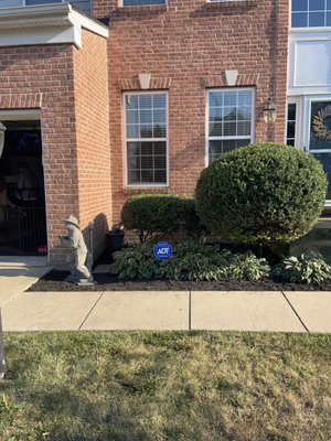 Mulching - Another successful project in the books! 🌿 We recently completed a mulching job that involved some heavy-duty weeding and hedge trimming. The yard looks refreshed and revitalized with freshly laid mulch, neatly trimmed hedges, and a weed-free garden bed. At A&S, we pride ourselves on delivering top-notch results that transform outdoor spaces. If you're in Fredericksburg, Spotsylvania, Stafford, or King George and need your yard spruced up, give us a call for a free quote! Mulching - Another successful project in the books! 🌿 We recently completed a mulching job that involved some heavy-duty weeding and hedge trimming. The yard looks refreshed and revitalized with freshly laid mulch, neatly trimmed hedges, and a weed-free garden bed. At A&S, we pride ourselves on delivering top-notch results that transform outdoor spaces. If you're in Fredericksburg, Spotsylvania, Stafford, or King George and need your yard spruced up, give us a call for a free quote!
