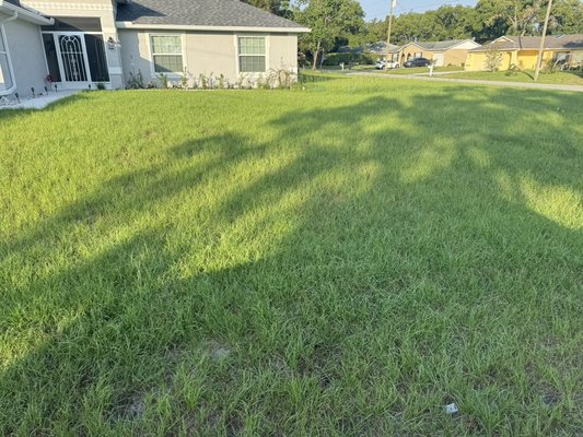 Lawn care - Lawn Maintenance! Lawn care - Lawn Maintenance!