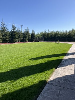 Lawn maintenance - Arellano landscaping
"-Lawn maintenance
-Sprinkler repair -Sod installs -Clean ups -Rock installs -Gutter cleaning
-Hauling services -Fence construction" Free estimate Call 2094050273 TEL
(209)-405-0273