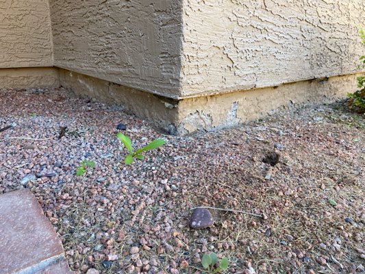 Stem Wall Patch in Gilbert, AZ - Water damage around stem foundation from sprinklers. Spalling in all areas due to sprinklers and mentioned. Solution: 90 FT STEM WALL PATCH