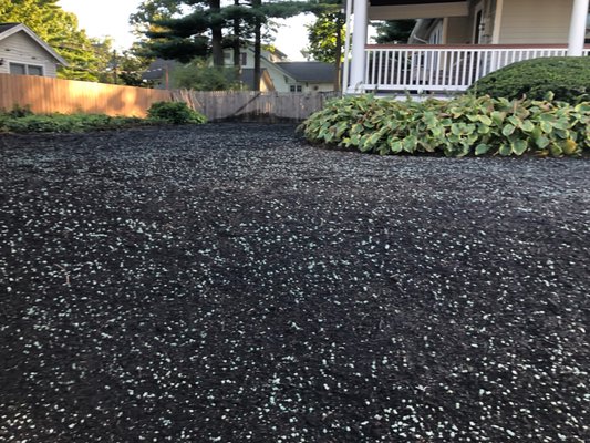 Lawn Renovation from seed - Lawn renovation from seed can have better results than sod at greatly reduced cost.  Please contact us for details