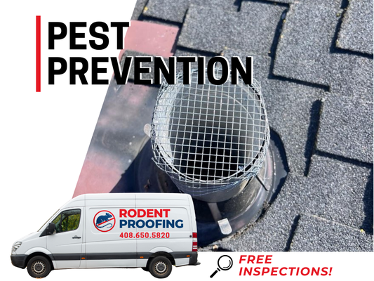 Pest Prevention Services - Pest Prevention Services Pest Prevention Services - Pest Prevention Services