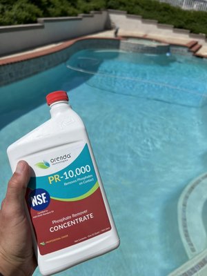 Phosphate Treatment 2024 - This pool was struggling with algae despite reading good chlorine levels. The phosphates were reading very high so a phosphate treatment was needed. After completing the pool looks great and is no longer struggling with algae.