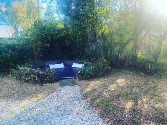 Birdsnest Lounge - Enjoy our party and ceremony gardens which include a 15’ ft birdsnest lounge. Perfect for stargazing, photo shoots, elopement ceremonies, and so much more. We have dates available for 2022 and beyond! Call for your personal tour of our art studio and gardens today. Www.sixthreefourjax.com Birdsnest Lounge - Enjoy our party and ceremony gardens which include a 15’ ft birdsnest lounge. Perfect for stargazing, photo shoots, elopement ceremonies, and so much more. We have dates available for 2022 and beyond! Call for your personal tour of our art studio and gardens today. Www.sixthreefourjax.com