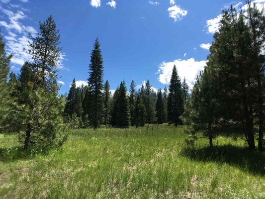 5 Acres "off the grid" - Gorgeous 5 acres in the quiet & peaceful off-grid community of Mt Shasta Forest! This parcel enjoys plenty of sunny, level, cleared areas for building or gardening. Peak-a-boo view of Mt Shasta from the back of the property. Includes well & septic and features a sleeping cabin with bathroom & attic. Cabin also houses the well and a 2500 gallon water tank with irrigation lines to both lots. Circular gravel driveway for ease of access. This cabin is just calling out for a new owner with the vision and imagination to finish where the previous owners left off! Camp out in the cabin while building your dream home! Owner financing possible with large down payment. HOA fees are $1000/year ($500 per 2.5 acre lot) for road maintenance & snow removal. See msfpoa.com for more information on this community located several miles east of the quaint & historic town of McCloud, CA. Schedule your private viewing today! (Note: One of sellers is licensed real estate agent.)
