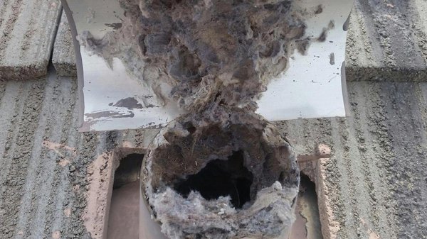 Dryer Vent Cleaning Unleashed: Experience the Safety and Efficiency Boost with Maven Air Care! - 🌬️ Unveiling the Hidden Danger: The Captivating Tale of Dryer Vent Cleaning by Maven Air Care 🌟
🔥 Picture this: Mrs. Johnson, a busy and diligent homeowner, found herself in a predicament. Despite her meticulous efforts to maintain a clean and organized household, she noticed a lingering smell of burnt fabric and a startling increase in drying times. Concerned and curious, she reached out to Maven Air Care, the trusted experts in dryer vent cleaning, for a solution that would unveil the hidden danger lurking in her laundry room.
🔥 As our skilled technicians arrived at Mrs. Johnson's home, they embarked on a journey to uncover the neglected truth behind her dryer vent. Little did she know, a buildup of lint, debris, and even potential fire hazards had been silently accumulating within her vent system over time. With cutting-edge tools and a commitment to excellence, our team swiftly delved into the task at hand.
🔥 With meticulous precision, we carefully dislodged layers of lint, dust, and flammable materials that had taken residence in Mrs. Johnson's dryer vent. The sheer volume of the accumulated debris left her astonished, realizing the magnitude of the unseen danger she had unknowingly exposed her home and loved ones to.
🔥 But it wasn't just the removal of the hazardous buildup that captivated Mrs. Johnson—it was the immediate impact on her dryer's performance. As our experts cleared the pathway for optimal airflow, her dryer regained its lost efficiency, significantly reducing drying times. The newfound speed and effectiveness of her appliance left her in awe, as laundry chores became quicker and more convenient than ever before.
🔥 Mrs. Johnson couldn't help but share her experience with friends and neighbors, enlightening them about the crucial importance of dryer vent cleaning. Her captivating story served as a wake-up call, urging others to prioritize this essential maintenance service, not only for improved dryer performance but also to eliminate the looming threat of potential fire hazards.
🔥 Today, Maven Air Care stands as the trusted name in dryer vent cleaning, safeguarding homes and families from the hidden dangers that reside within their laundry rooms. Don't let the unseen hazards compromise your peace of mind any longer. Trust the experts at Maven Air Care to unveil the hidden danger and restore optimal performance to your dryer.
🔥 Contact Maven Air Care today to schedule your dryer vent cleaning and experience the remarkable difference it can make in your home. Together, let's ensure the safety, efficiency, and peace of mind you deserve. Say goodbye to excessive drying times and hello to a revitalized laundry experience! Dryer Vent Cleaning Unleashed: Experience the Safety and Efficiency Boost with Maven Air Care! - 🌬️ Unveiling the Hidden Danger: The Captivating Tale of Dryer Vent Cleaning by Maven Air Care 🌟
🔥 Picture this: Mrs. Johnson, a busy and diligent homeowner, found herself in a predicament. Despite her meticulous efforts to maintain a clean and organized household, she noticed a lingering smell of burnt fabric and a startling increase in drying times. Concerned and curious, she reached out to Maven Air Care, the trusted experts in dryer vent cleaning, for a solution that would unveil the hidden danger lurking in her laundry room.
🔥 As our skilled technicians arrived at Mrs. Johnson's home, they embarked on a journey to uncover the neglected truth behind her dryer vent. Little did she know, a buildup of lint, debris, and even potential fire hazards had been silently accumulating within her vent system over time. With cutting-edge tools and a commitment to excellence, our team swiftly delved into the task at hand.
🔥 With meticulous precision, we carefully dislodged layers of lint, dust, and flammable materials that had taken residence in Mrs. Johnson's dryer vent. The sheer volume of the accumulated debris left her astonished, realizing the magnitude of the unseen danger she had unknowingly exposed her home and loved ones to.
🔥 But it wasn't just the removal of the hazardous buildup that captivated Mrs. Johnson—it was the immediate impact on her dryer's performance. As our experts cleared the pathway for optimal airflow, her dryer regained its lost efficiency, significantly reducing drying times. The newfound speed and effectiveness of her appliance left her in awe, as laundry chores became quicker and more convenient than ever before.
🔥 Mrs. Johnson couldn't help but share her experience with friends and neighbors, enlightening them about the crucial importance of dryer vent cleaning. Her captivating story served as a wake-up call, urging others to prioritize this essential maintenance service, not only for improved dryer performance but also to eliminate the looming threat of potential fire hazards.
🔥 Today, Maven Air Care stands as the trusted name in dryer vent cleaning, safeguarding homes and families from the hidden dangers that reside within their laundry rooms. Don't let the unseen hazards compromise your peace of mind any longer. Trust the experts at Maven Air Care to unveil the hidden danger and restore optimal performance to your dryer.
🔥 Contact Maven Air Care today to schedule your dryer vent cleaning and experience the remarkable difference it can make in your home. Together, let's ensure the safety, efficiency, and peace of mind you deserve. Say goodbye to excessive drying times and hello to a revitalized laundry experience!