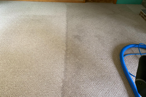 Carpet Cleaning - Expert cleaning helps keep the dirt and dust from tearing away at the carpet’s fibers, making them look better and feel softer longer. Installing carpet in your home is an investment. Protect your investment by properly caring for it. Routine professional carpet cleaning ensures your carpet, as well as your home, is fresh, clean, and healthy.