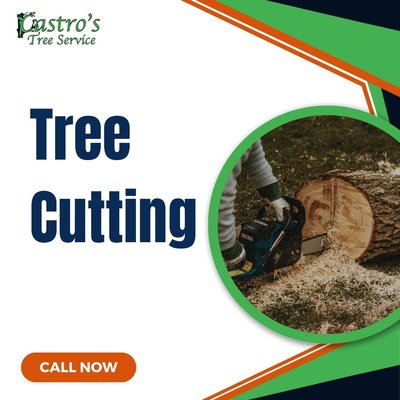 Call now to get an estimate on your tree cutting needs! - Call now to get an estimate on your tree cutting needs! Call now to get an estimate on your tree cutting needs! - Call now to get an estimate on your tree cutting needs!