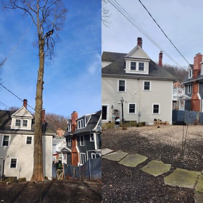 Junior Tree Service LLC - Our clients are satisfied with the tree removal work, our prices are affordable.  We are a local company, serving Morris, Sussex, Essex, Union, Warren and Somerset counties.