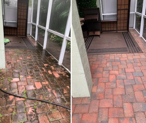 Patio Power - This patio pavers were severely infested with black algae and the cage had it's fair share of algae growth as well. Patio Power - This patio pavers were severely infested with black algae and the cage had it's fair share of algae growth as well.