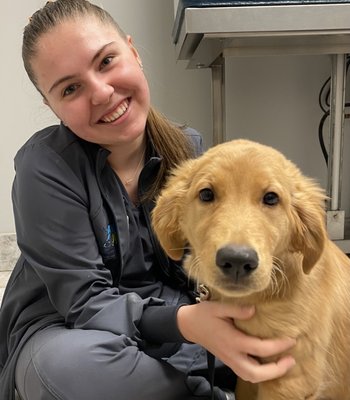 Dog Services - As your canine friend grows, he or she will move through five distinct stages of life:
Puppy: 0-1 year
Young Adult: 1-3 years
Adult: 3-5 years
Senior: 5-10 years
Geriatric: 10+ years
A Comprehensive Approach To Canine Veterinary Medicine
We understand that a dog veterinarian is only as good as his or her ability to successfully prevent, diagnose, and treat whatever ailment a dog may be facing. Equally as important is our ability to listen and communicate well with owners to make sure they understand their dog's health concerns and how to make the best choices for their dog. This is why our dog hospital is capable of handling any procedure, including preventive care, medical diagnosis, and emergency surgery.
We specialize in the following dog health services for dogs of all ages, breeds, and circumstances. Dog Services - As your canine friend grows, he or she will move through five distinct stages of life:
Puppy: 0-1 year
Young Adult: 1-3 years
Adult: 3-5 years
Senior: 5-10 years
Geriatric: 10+ years
A Comprehensive Approach To Canine Veterinary Medicine
We understand that a dog veterinarian is only as good as his or her ability to successfully prevent, diagnose, and treat whatever ailment a dog may be facing. Equally as important is our ability to listen and communicate well with owners to make sure they understand their dog's health concerns and how to make the best choices for their dog. This is why our dog hospital is capable of handling any procedure, including preventive care, medical diagnosis, and emergency surgery.
We specialize in the following dog health services for dogs of all ages, breeds, and circumstances.