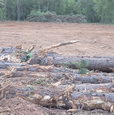 Lot Clearing Done Right! - Do you need your land/lot cleared? Call Ingram Clearing and Landscape today. We get it done in a timely manner with only the best equipment!