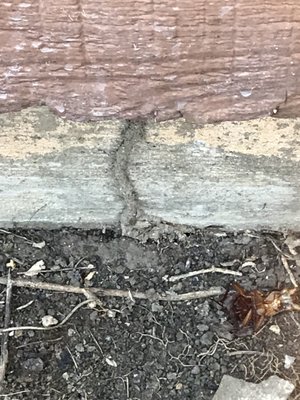 Termite and proper treatment - Termites can enter the structure through mud tubes and go to work, destroying anything made of wood, paper, or cardboard. A proper barrier treatment using a Termiticide Regulated by the TDA and applied by a licensed technician is the first wave of attack. Call and let our team of professionals inspect your property and answer your questions. Termite and proper treatment - Termites can enter the structure through mud tubes and go to work, destroying anything made of wood, paper, or cardboard. A proper barrier treatment using a Termiticide Regulated by the TDA and applied by a licensed technician is the first wave of attack. Call and let our team of professionals inspect your property and answer your questions.