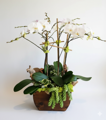Daily deliveries - Need beautiful blooms delivered today? Our daily delivery service has you covered