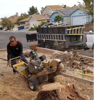 Tree Trimming, Pruning & Removal - Big stumps removed!!  Avoid tripping hazards.  Call today for your free estimate!