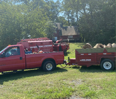 Call Today For Your Free Estimate - At Mitchell Tree & Stump Service, we want to put our years of experience to work for you and help with all your tree service needs to keep your property looking it's best. We believe in providing quality and honest work at a reasonable price to our customers. Call us today to find out more information about any of our services and to schedule your free estimate Call Today For Your Free Estimate - At Mitchell Tree & Stump Service, we want to put our years of experience to work for you and help with all your tree service needs to keep your property looking it's best. We believe in providing quality and honest work at a reasonable price to our customers. Call us today to find out more information about any of our services and to schedule your free estimate