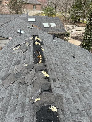 Raccoon Eviction & Roof Repairs - Raccoon eviction from attic and roof repairs to prevent new tenants. 🦝⬅️🏠 Raccoon Eviction & Roof Repairs - Raccoon eviction from attic and roof repairs to prevent new tenants. 🦝⬅️🏠