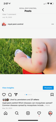 Mosquito Extermination - Mosquito Extermination Mosquito Extermination - Mosquito Extermination