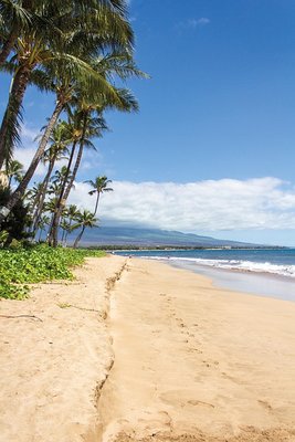 Hawai‘i: Islands of Aloha, Adventure & Awe - From the volcanic landscapes of the Big Island to the lush valleys of Kaua‘i, the surf of O‘ahu, and the serenity of Maui, Hawai‘i offers a diverse and breathtaking escape. Whether you're hiking to hidden waterfalls, attending a traditional lūʻau, snorkeling with sea turtles, or simply soaking in the island spirit, we match each traveler with the perfect Hawaiian experience.
From inter-island flights and rental cars to guided tours, cultural experiences, and outdoor adventures, we handle every detail — crafting a seamless journey through the islands of aloha. Hawai‘i: Islands of Aloha, Adventure & Awe - From the volcanic landscapes of the Big Island to the lush valleys of Kaua‘i, the surf of O‘ahu, and the serenity of Maui, Hawai‘i offers a diverse and breathtaking escape. Whether you're hiking to hidden waterfalls, attending a traditional lūʻau, snorkeling with sea turtles, or simply soaking in the island spirit, we match each traveler with the perfect Hawaiian experience.
From inter-island flights and rental cars to guided tours, cultural experiences, and outdoor adventures, we handle every detail — crafting a seamless journey through the islands of aloha.