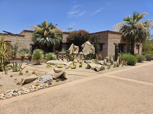 New landscape desert planting with complete new irrigation systems. - Complete new irrigation system with new desert plants. New landscape desert planting with complete new irrigation systems. - Complete new irrigation system with new desert plants.