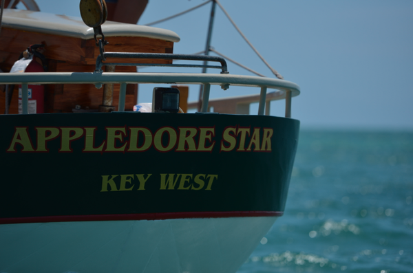 Appledore Star - Book Your Sail or Tour on the Appledore Star Today! Appledore Star - Book Your Sail or Tour on the Appledore Star Today!