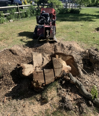 Stump Removal - Transform your living space by removing unwanted tree stumps at a fair price.