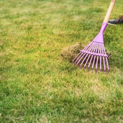 Property Clean-Up: Keep Your Property Neat and Tidy - Has your property seen better days? You can have a beautiful lawn year-round by choosing Allende's Lawn Care & Landscaping for yard debris removal. We tidy up overgrown areas, messy edges and flowerbeds throughout Pasco & Richland, WA. Our yard cleanup services are perfect for one-time service to your property a clean slate or routine maintenance to lift the burden from your shoulders.