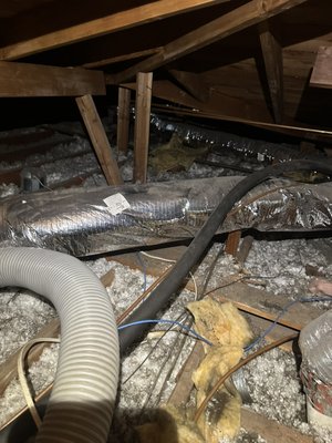 Rodent Soiled insulation removal , customer didn’t want new insulation - This customer was converting his home to a home care facility . To comply with local laws he had to install an overhead fire sprinkler system. The sprinkler company would not work in the attic due to rodent feces . We removed all insulation , sanitized and disposed of insulations . Rodent Soiled insulation removal , customer didn’t want new insulation - This customer was converting his home to a home care facility . To comply with local laws he had to install an overhead fire sprinkler system. The sprinkler company would not work in the attic due to rodent feces . We removed all insulation , sanitized and disposed of insulations .