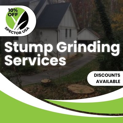 Stump Grinding Services - SPECTOR USA specializes in removing unsightly stumps, ensuring a smooth and hazard-free landscape. Our professional team employs advanced equipment, delivering efficient and thorough stump grinding. Trust us for a prompt, reliable, and hassle-free solution to enhance your outdoor space. Experience a stump-free environment with our expert services. Stump Grinding Services - SPECTOR USA specializes in removing unsightly stumps, ensuring a smooth and hazard-free landscape. Our professional team employs advanced equipment, delivering efficient and thorough stump grinding. Trust us for a prompt, reliable, and hassle-free solution to enhance your outdoor space. Experience a stump-free environment with our expert services.
