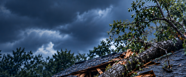 Repairs & Storm Damage - Storm hit your roof? Act fast! We respond quickly to assess and repair storm damage preventing further leaks, protecting your property, and restoring your peace of mind. Repairs & Storm Damage - Storm hit your roof? Act fast! We respond quickly to assess and repair storm damage preventing further leaks, protecting your property, and restoring your peace of mind.