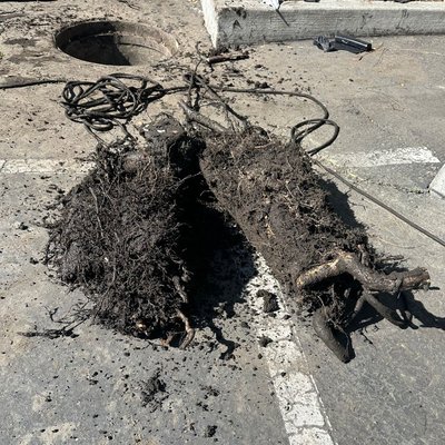 Plumbing Solutions - Servicing the Bay Area 24/7. Call us for a free estimate. Plumbing Solutions - Servicing the Bay Area 24/7. Call us for a free estimate.