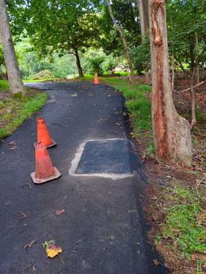 Driveway Edge and Surface Repair - This asphalt repair project in Great Falls, Virginia, focused on restoring the structural integrity and appearance of a private residential driveway surrounded by natural landscaping. Over the years, the edges of the driveway had begun to erode due to water runoff and root expansion, while certain sections of the asphalt showed visible cracking and surface wear. The property owner contacted Legendary Asphalt Paving to perform localized patching and edge reinforcement to extend the pavement’s lifespan and restore a clean, uniform finish.
Our team began by marking the affected areas along the driveway’s curved sections and removing the deteriorated asphalt. The exposed base was cleared of debris, reshaped, and compacted to provide a stable foundation for the new surface. In critical areas, crushed stone was added to improve drainage and prevent future erosion, especially where the driveway borders the wooded area.
Once the base preparation was complete, hot asphalt mix was applied and compacted using professional equipment to achieve a smooth surface and strong bond with the existing pavement. Each patch was precisely leveled to ensure consistent transitions and proper edge definition. The completed work reinforced the structural edges and eliminated the risk of further cracking or washout, resulting in a visually refreshed driveway that blends naturally with the surrounding landscape.
This project highlights Legendary Asphalt Paving’s commitment to detail, functionality, and long-term durability — ensuring every repair not only restores the surface but enhances the overall safety and appearance of the property. Driveway Edge and Surface Repair - This asphalt repair project in Great Falls, Virginia, focused on restoring the structural integrity and appearance of a private residential driveway surrounded by natural landscaping. Over the years, the edges of the driveway had begun to erode due to water runoff and root expansion, while certain sections of the asphalt showed visible cracking and surface wear. The property owner contacted Legendary Asphalt Paving to perform localized patching and edge reinforcement to extend the pavement’s lifespan and restore a clean, uniform finish.
Our team began by marking the affected areas along the driveway’s curved sections and removing the deteriorated asphalt. The exposed base was cleared of debris, reshaped, and compacted to provide a stable foundation for the new surface. In critical areas, crushed stone was added to improve drainage and prevent future erosion, especially where the driveway borders the wooded area.
Once the base preparation was complete, hot asphalt mix was applied and compacted using professional equipment to achieve a smooth surface and strong bond with the existing pavement. Each patch was precisely leveled to ensure consistent transitions and proper edge definition. The completed work reinforced the structural edges and eliminated the risk of further cracking or washout, resulting in a visually refreshed driveway that blends naturally with the surrounding landscape.
This project highlights Legendary Asphalt Paving’s commitment to detail, functionality, and long-term durability — ensuring every repair not only restores the surface but enhances the overall safety and appearance of the property.